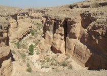 View Wadi Ben Ali