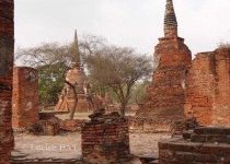 thai001 020