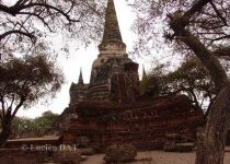 thai001 018
