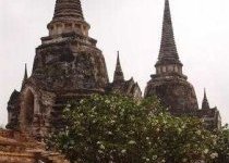 thai001 014