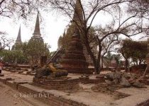 thai001 016