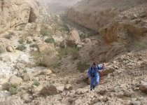 Olivier Cassassoles - Wadi Biyout